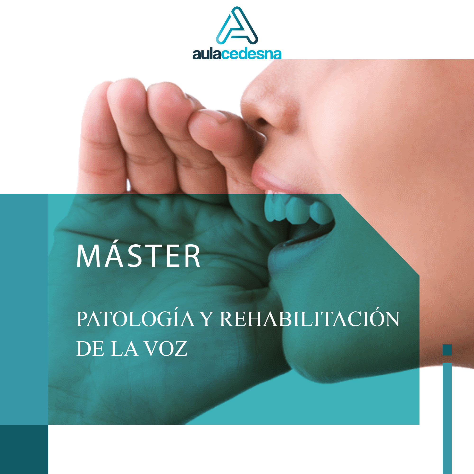 Máster de F.P. en Patología y Rehabilitación de la Voz