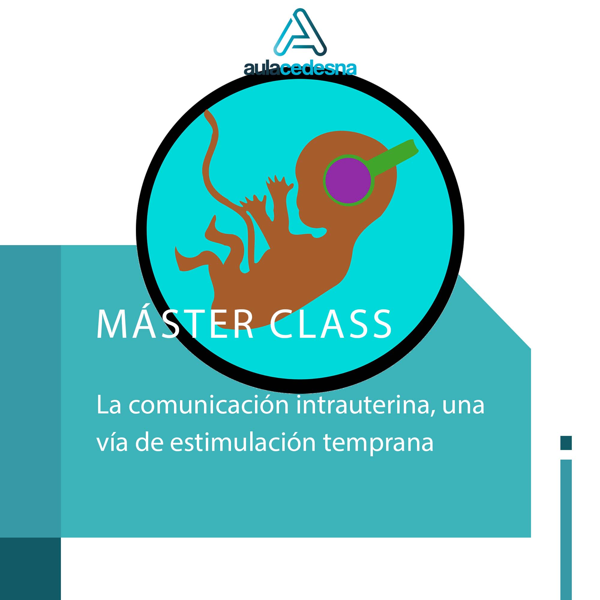 La comunicación intrauterina, una vía de estimulación temprana