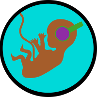 La comunicación intrauterina, una vía de estimulación temprana