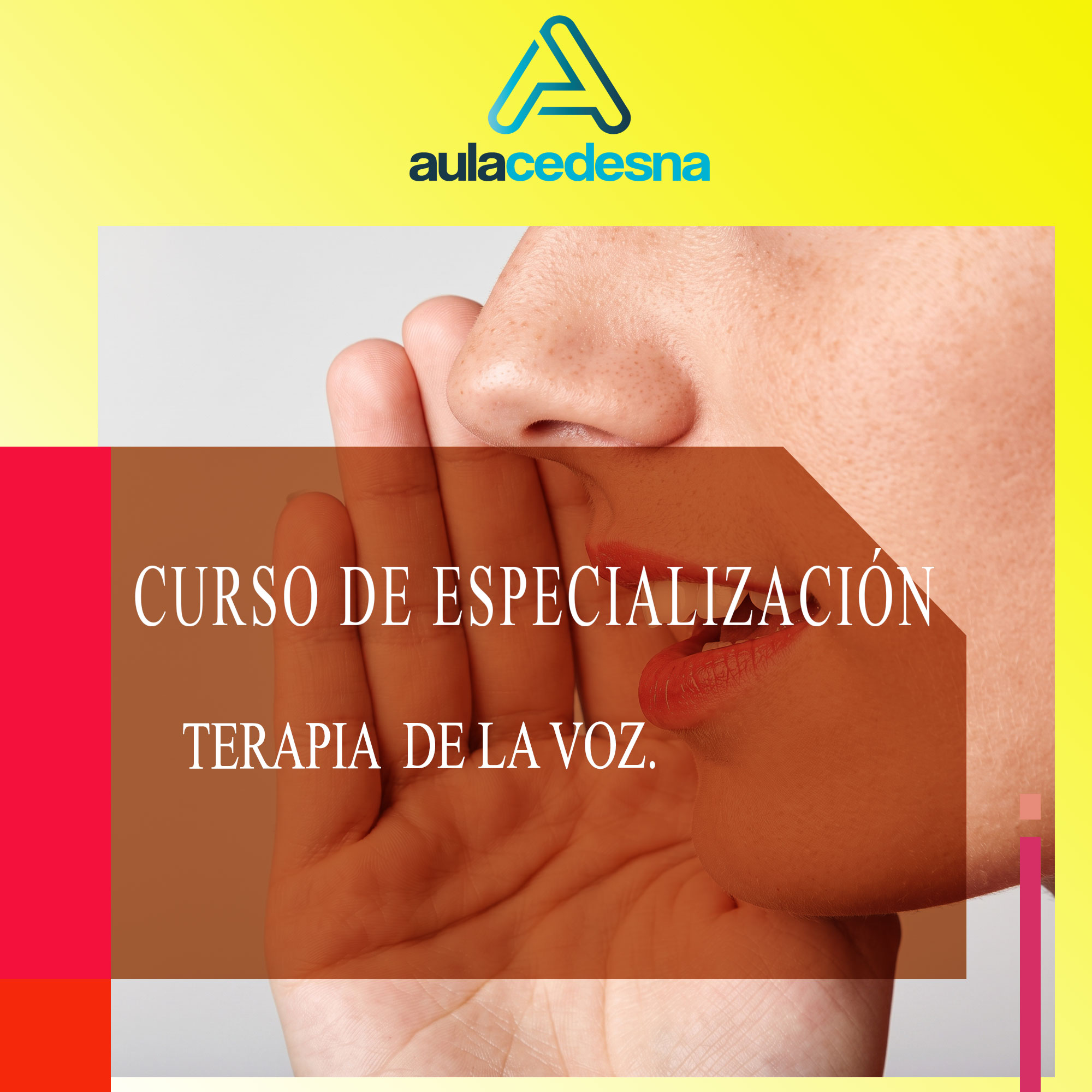 Curso de especialización en Terapia de la Voz para Logopedas y Profesionales afines