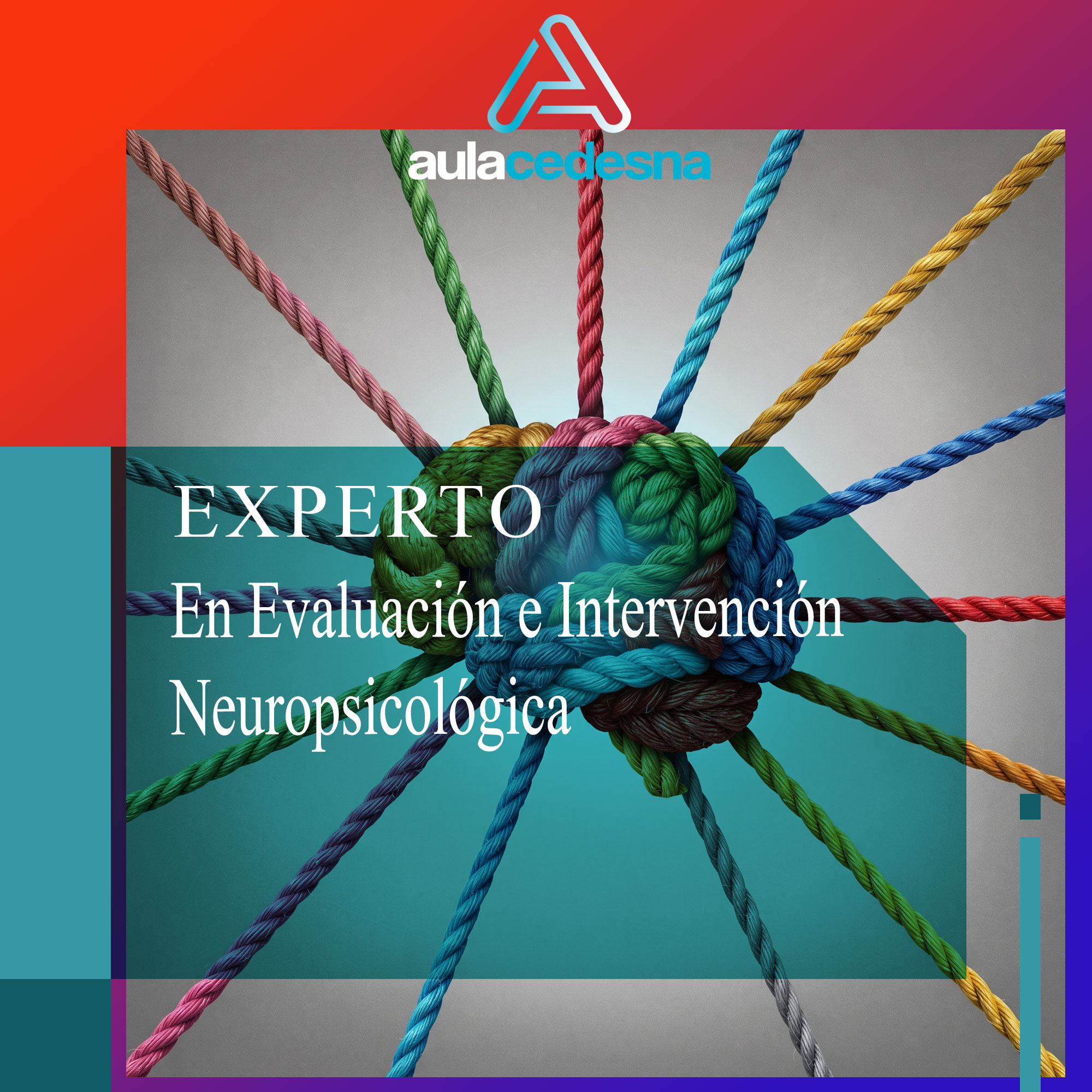 Experto en Evaluación e Intervención Neuropsicológica